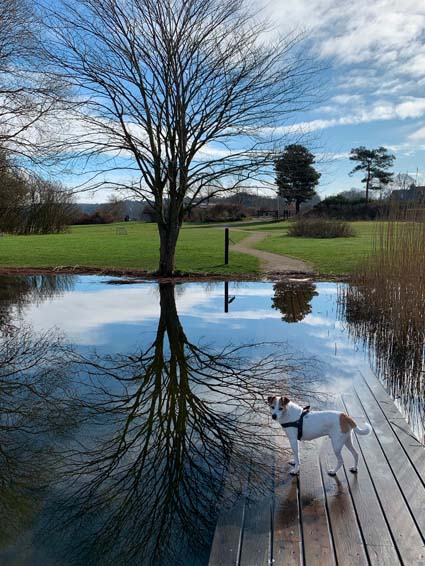 Ce que vous devez savoir pour vivre en zone inondable