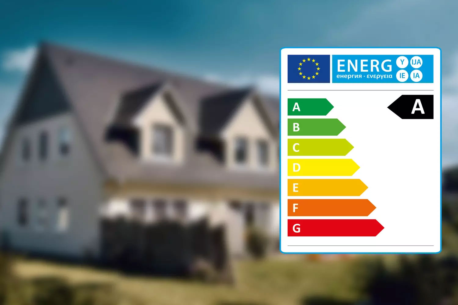 Les diagnostics immobiliers obligatoires dans le....
