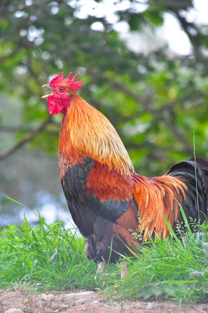 COMMENT SONT ENCADRÉS PAR LA LOI LES TROUBLES...