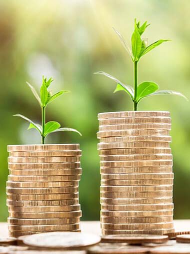 L’ÉCOLOGIE AU CŒUR DES NOUVEAUX PROJETS...