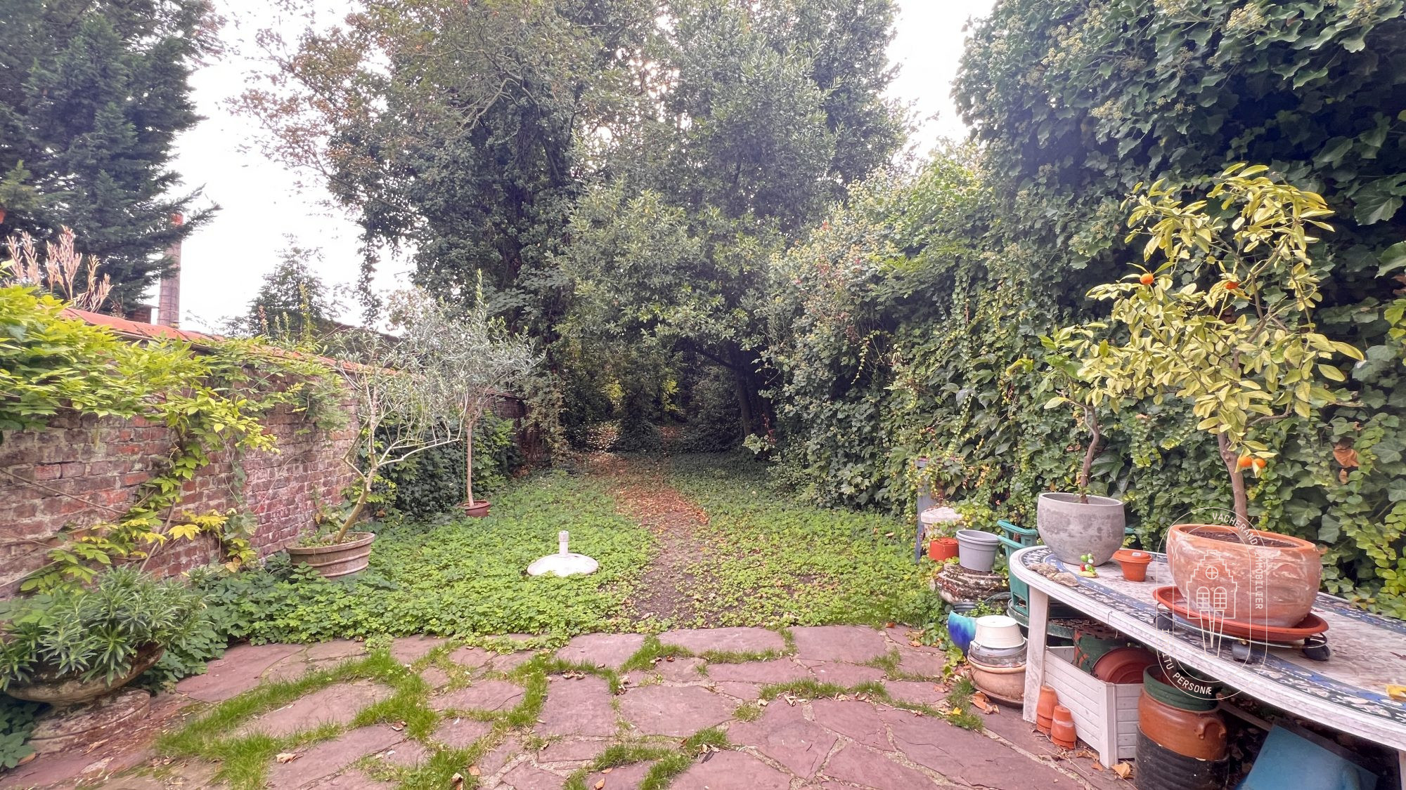 Vente Maison 218m² Roubaix 6