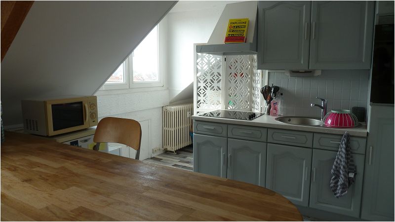 Location Appartement 30m² Faches Thumesnil 1